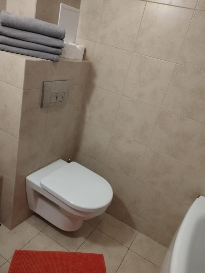 Apartament Markowka W Koscielisku コシチェリスコ エクステリア 写真